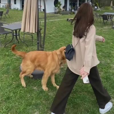 我的野蛮女学生