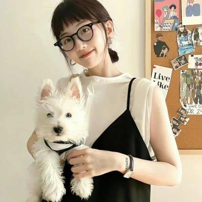 摩登女婿